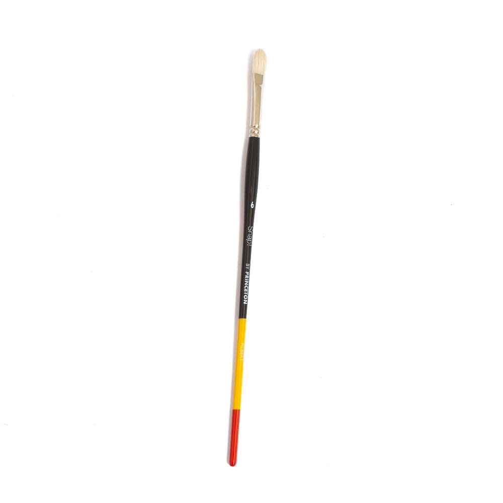 Princeton, Brush, Art & School, Snap, Bristle, Long Handle, 6, 402201